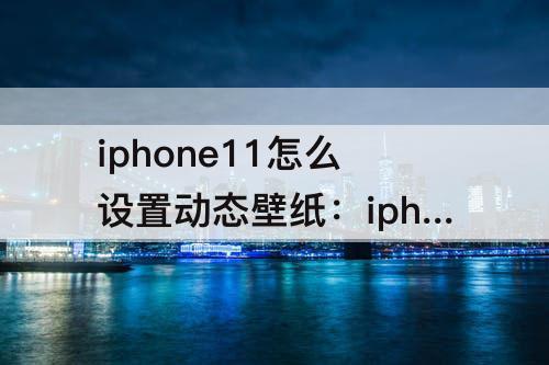 iphone11怎么设置动态壁纸：iphone11怎么设置动态壁纸 抖音视频