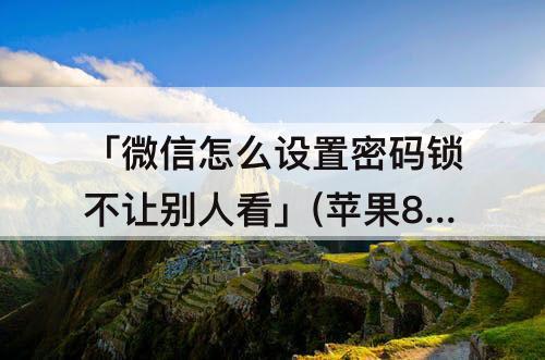 「微信怎么设置密码锁不让别人看」(苹果8p微信怎么设置密码锁不让别人看)