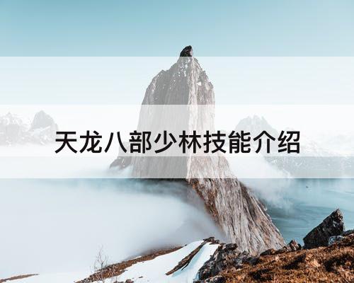 天龙八部少林技能介绍