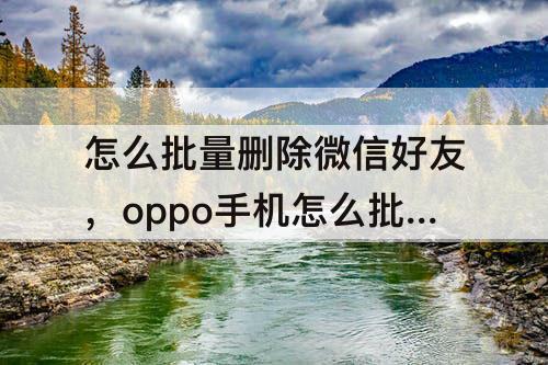 怎么批量删除微信好友，oppo手机怎么批量删除微信好友