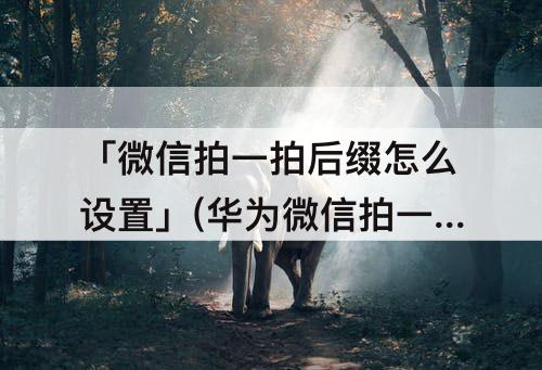 「微信拍一拍后缀怎么设置」(华为微信拍一拍后缀怎么设置)