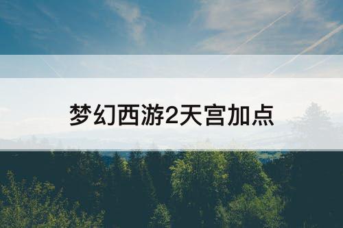 梦幻西游2天宫加点