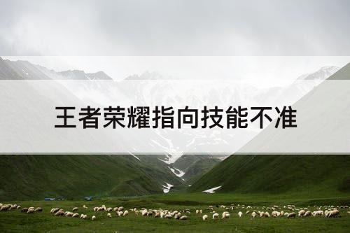 王者荣耀指向技能不准