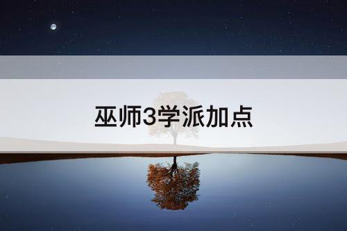 巫师3学派加点