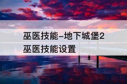 巫医技能-地下城堡2巫医技能设置