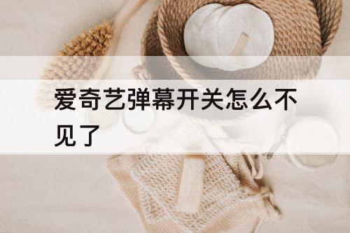 爱奇艺弹幕开关怎么不见了