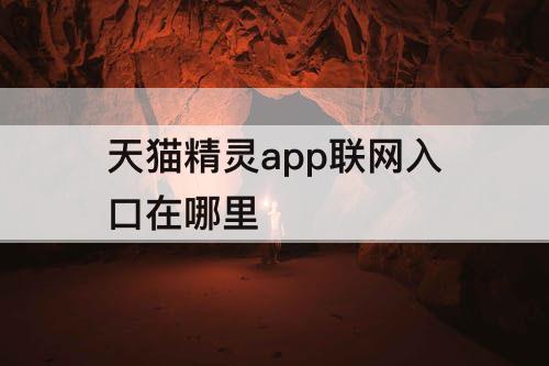 天猫精灵app联网入口在哪里