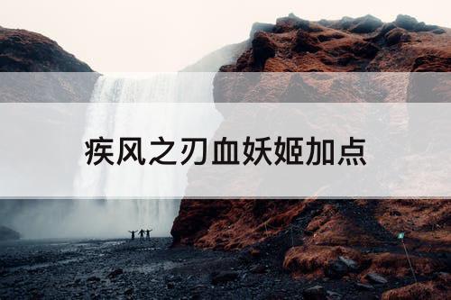 疾风之刃血妖姬加点