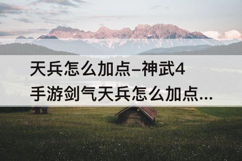 天兵怎么加点-神武4手游剑气天兵怎么加点和打书