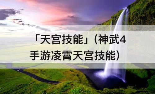 「天宫技能」(神武4手游凌霄天宫技能)