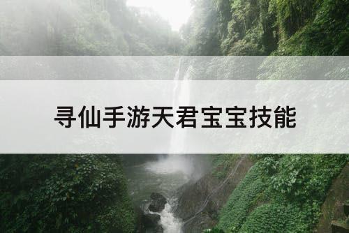 寻仙手游天君宝宝技能