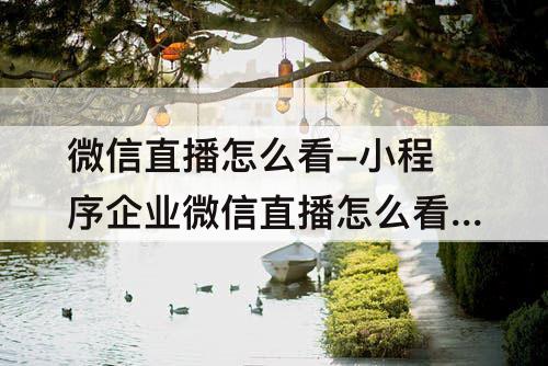 微信直播怎么看-小程序企业微信直播怎么看回放