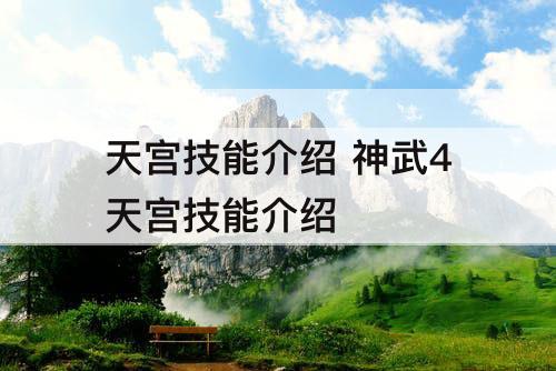 天宫技能介绍 神武4天宫技能介绍