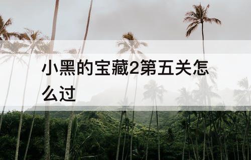 小黑的宝藏2第五关怎么过
