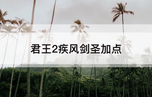 君王2疾风剑圣加点