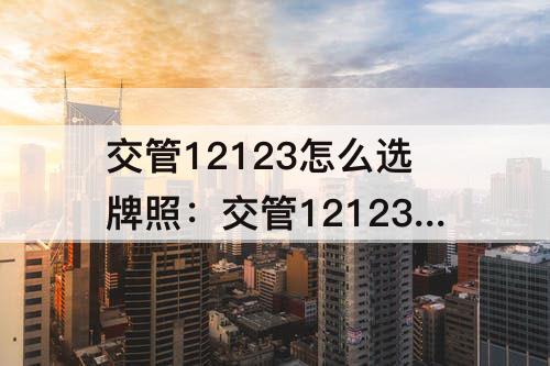 交管12123怎么选牌照：交管12123怎么选牌照号视频