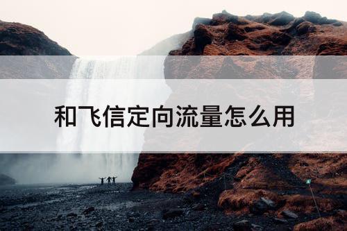 和飞信定向流量怎么用