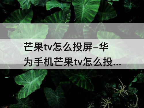 芒果tv怎么投屏-华为手机芒果tv怎么投屏