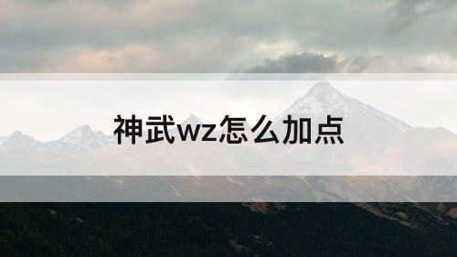 神武wz怎么加点
