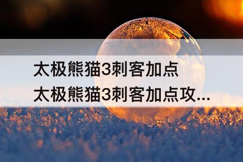 太极熊猫3刺客加点 太极熊猫3刺客加点攻略