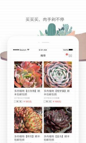 花兮  v1.1.2图1