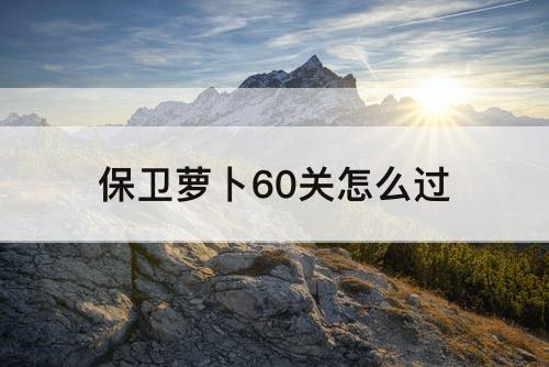 保卫萝卜60关怎么过