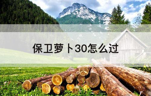 保卫萝卜30怎么过