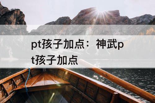 pt孩子加点：神武pt孩子加点