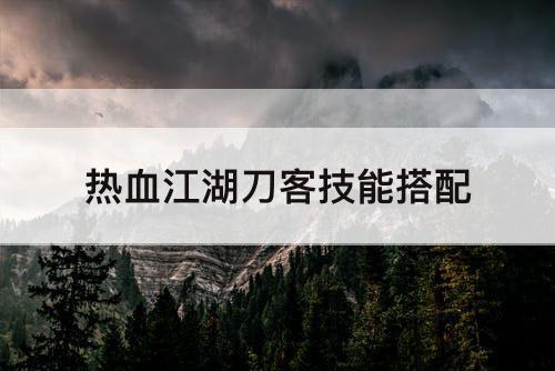 热血江湖刀客技能搭配