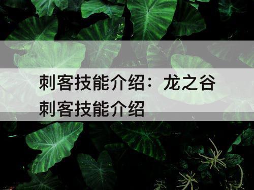 刺客技能介绍：龙之谷刺客技能介绍