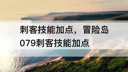 刺客技能加点，冒险岛079刺客技能加点