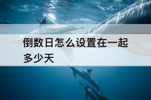 倒数日怎么设置在一起多少天