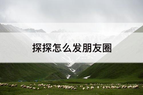 探探怎么发朋友圈