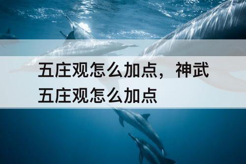 五庄观怎么加点，神武五庄观怎么加点