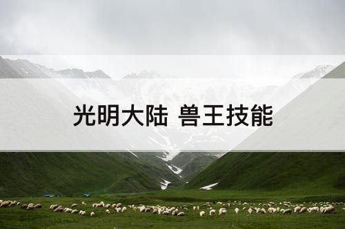 光明大陆 兽王技能