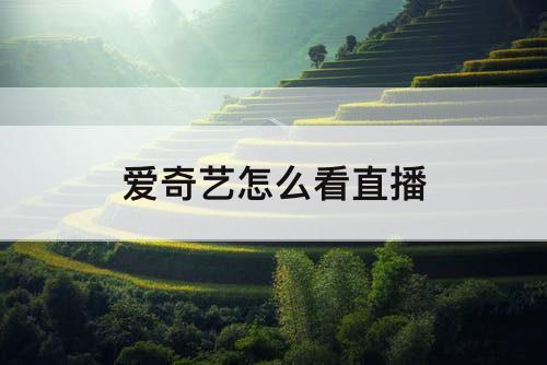 爱奇艺怎么看直播