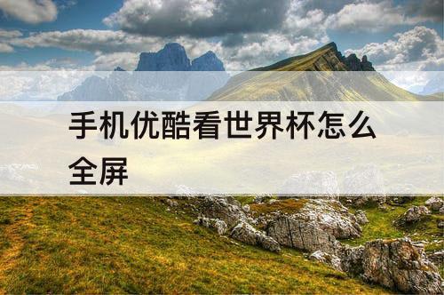 手机优酷看世界杯怎么全屏