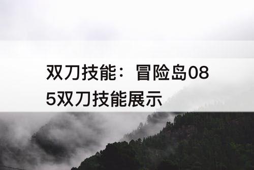 双刀技能：冒险岛085双刀技能展示