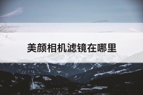 美颜相机滤镜在哪里