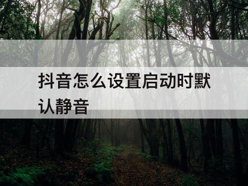 抖音怎么设置启动时默认静音