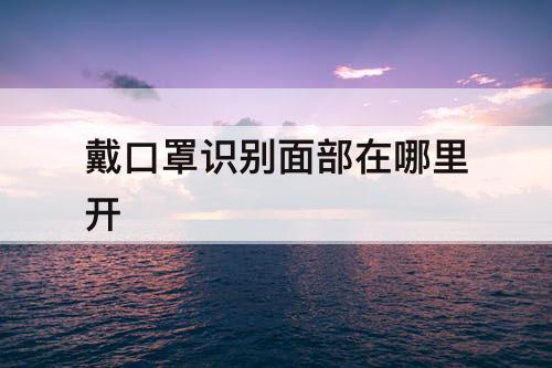 戴口罩识别面部在哪里开