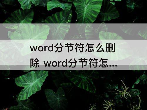 word分节符怎么删除 word分节符怎么删除不了