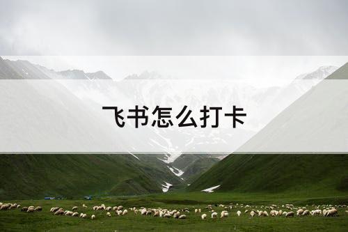 飞书怎么打卡