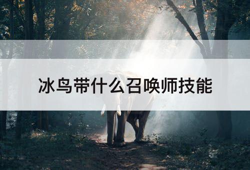 冰鸟带什么召唤师技能