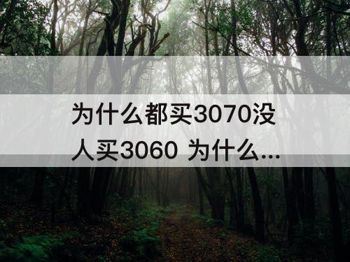 为什么都买3070没人买3060 为什么都买3070没人买3060ti 12G