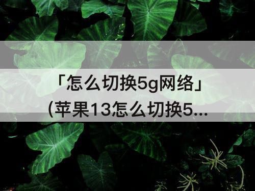「怎么切换5g网络」(苹果13怎么切换5g网络)