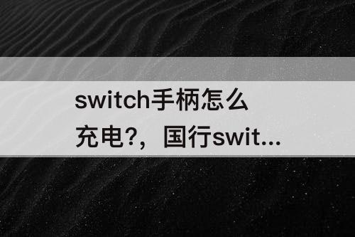 switch手柄怎么充电?，国行switch手柄怎么充电?