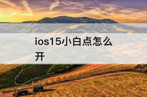 ios15小白点怎么开