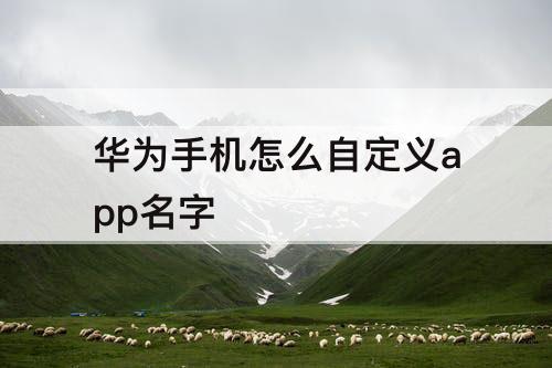 华为手机怎么自定义app名字