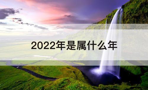 2022年是属什么年